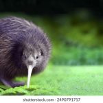 CCTV5十在线高清直播:精彩赛事不间断 7jekzh3ou